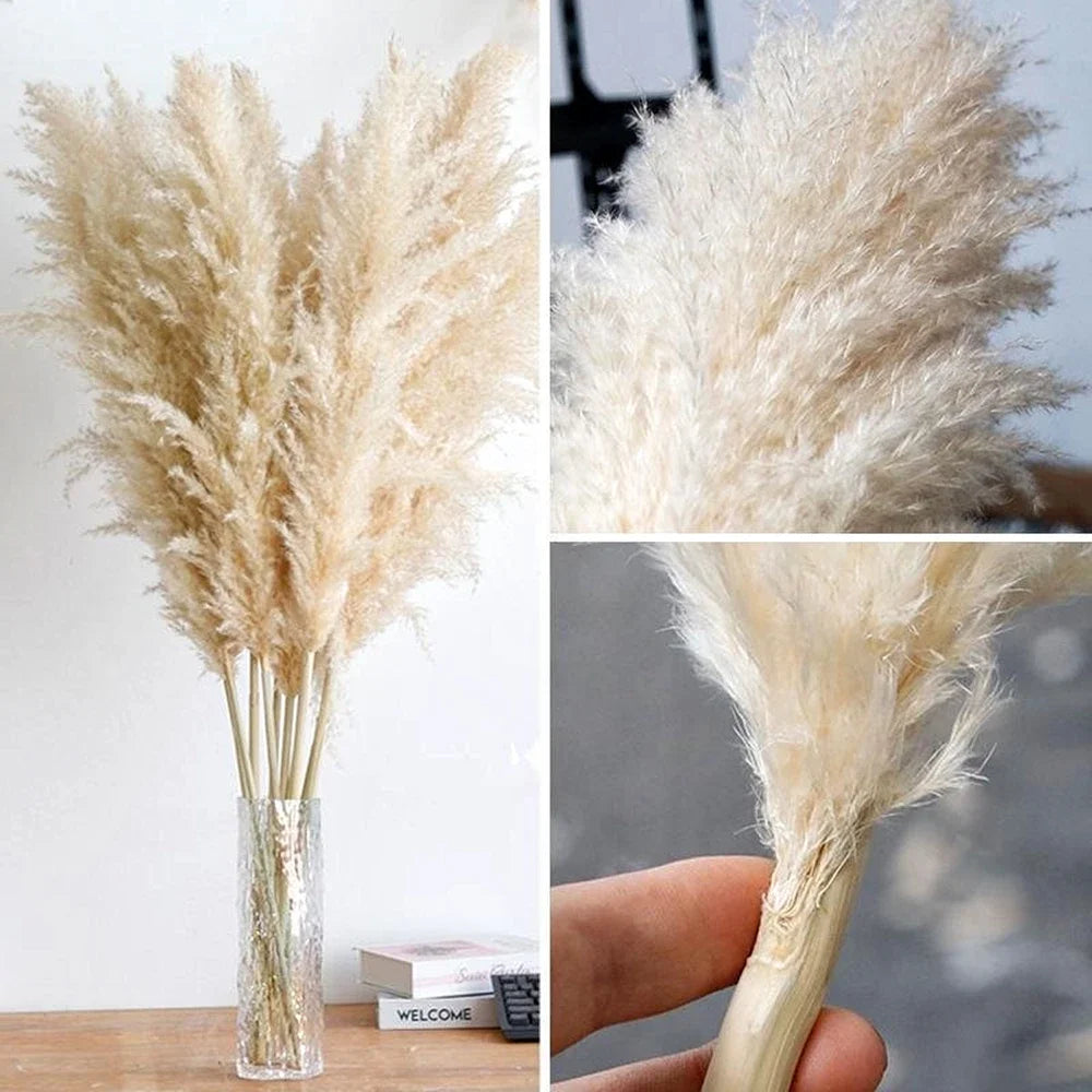 Large Natural Dried Pampas Grass Flowers Bouquet Home Decor