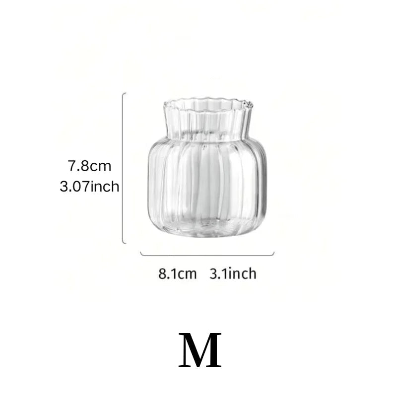 Hydroponic Glass Flower Arrangement Container Vase Table Decor