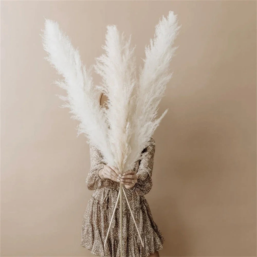 Large Natural Dried Pampas Grass Flowers Bouquet Home Decor