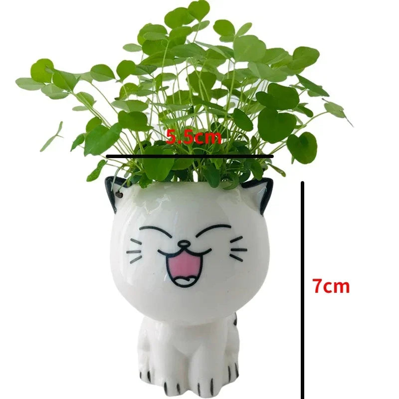 DIY Cute Mini Cat Shaped Ceramic Plant Pot