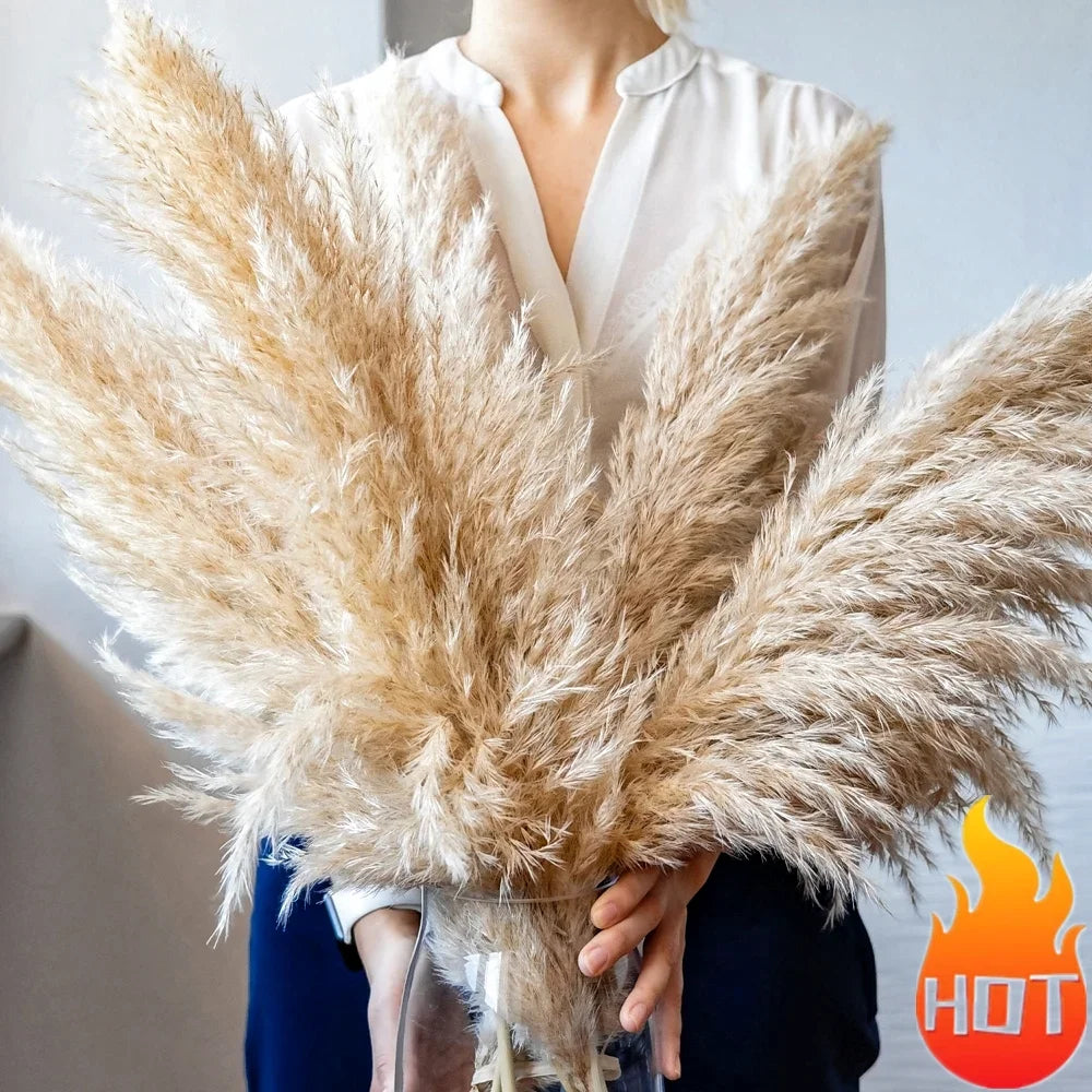 Large Natural Dried Pampas Grass Flowers Bouquet Home Decor