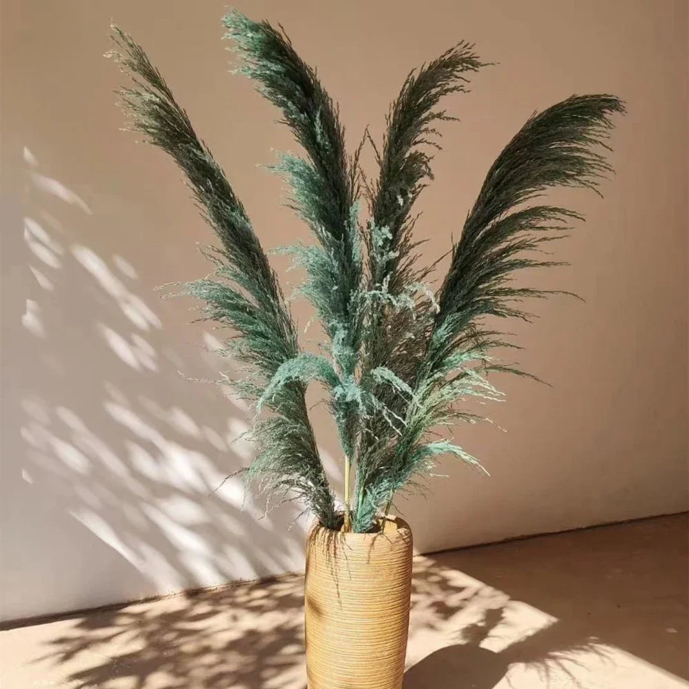Large Natural Dried Pampas Grass Flowers Bouquet Home Decor