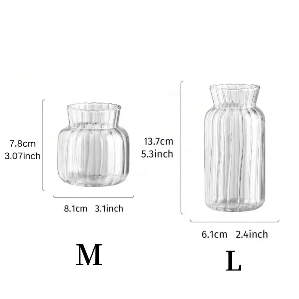 Hydroponic Glass Flower Arrangement Container Vase Table Decor
