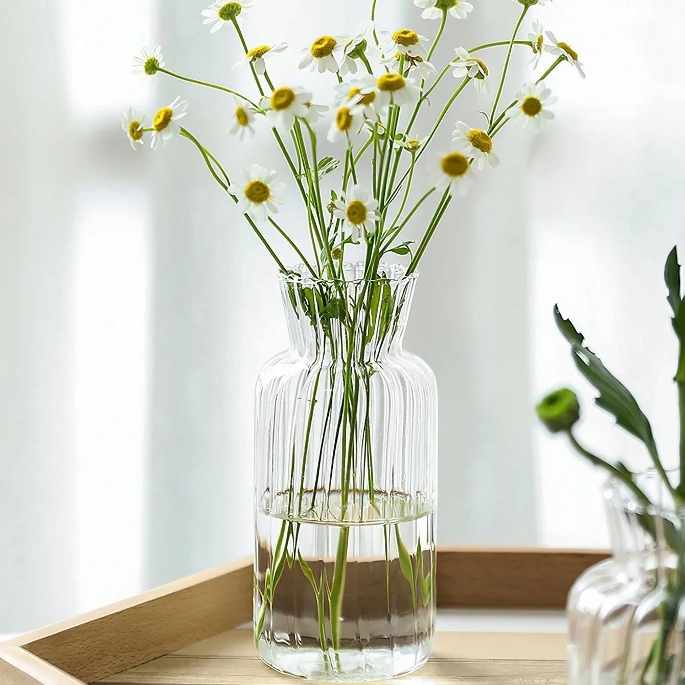 Hydroponic Glass Flower Arrangement Container Vase Table Decor