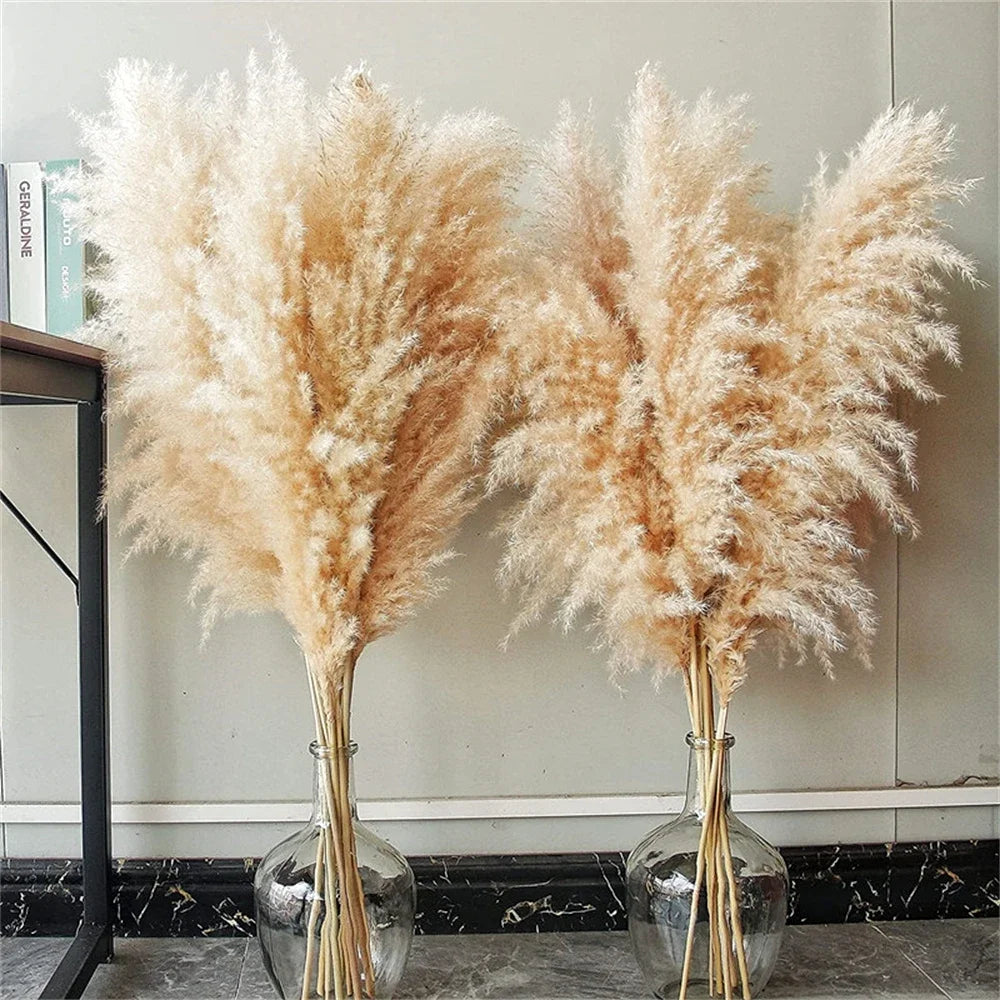 Large Natural Dried Pampas Grass Flowers Bouquet Home Decor