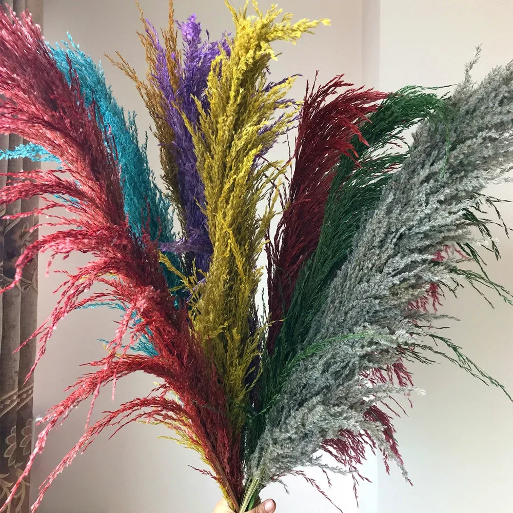 Large Natural Dried Pampas Grass Flowers Bouquet Home Decor