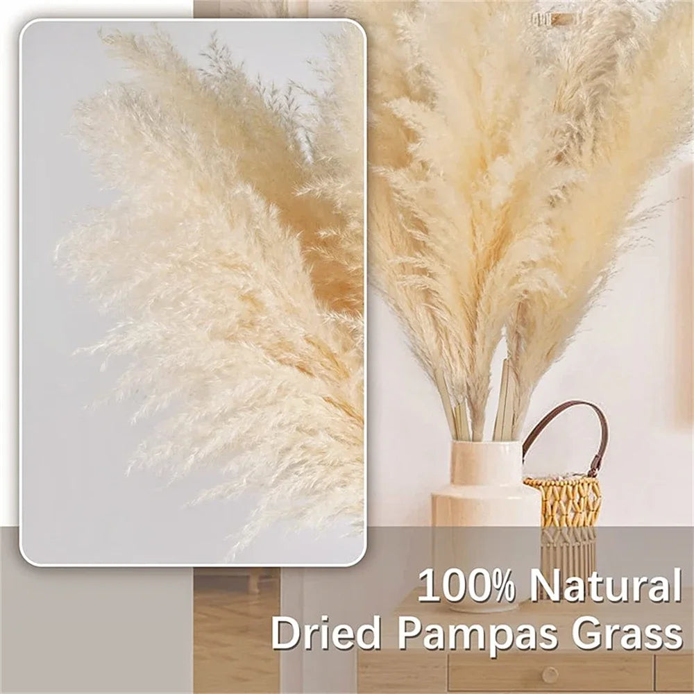 Large Natural Dried Pampas Grass Flowers Bouquet Home Decor