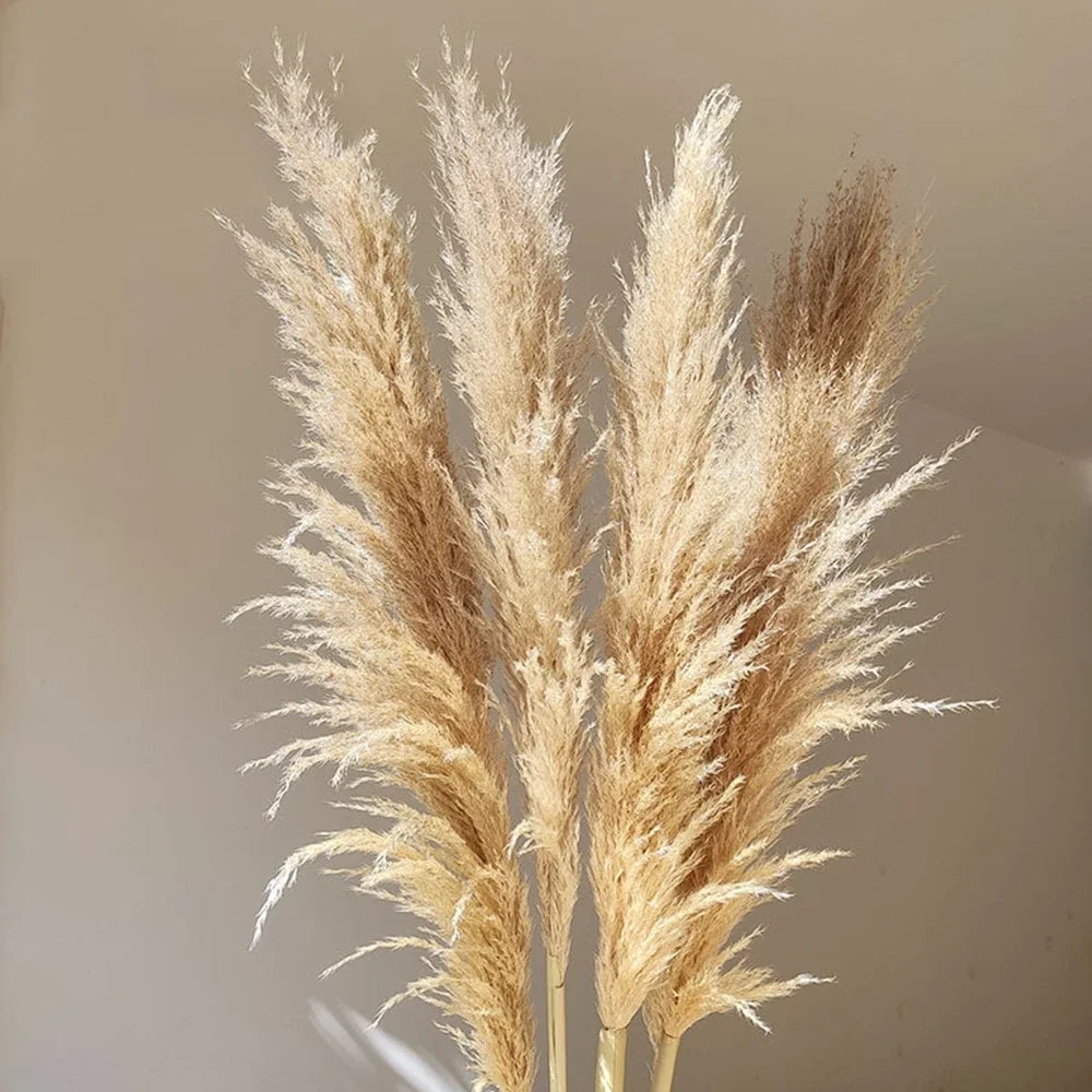 Large Natural Dried Pampas Grass Flowers Bouquet Home Decor