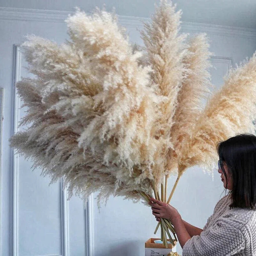 Large Natural Dried Pampas Grass Flowers Bouquet Home Decor
