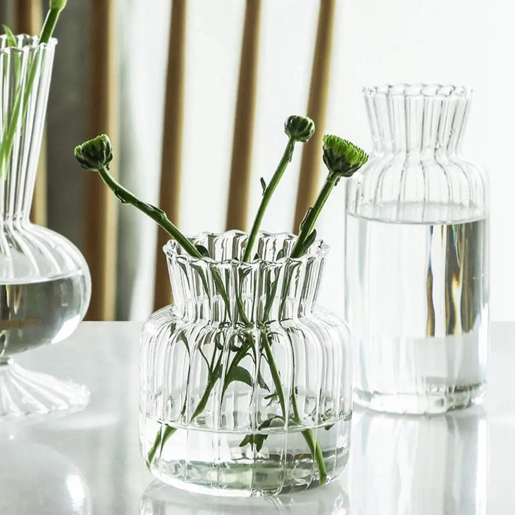 Hydroponic Glass Flower Arrangement Container Vase Table Decor