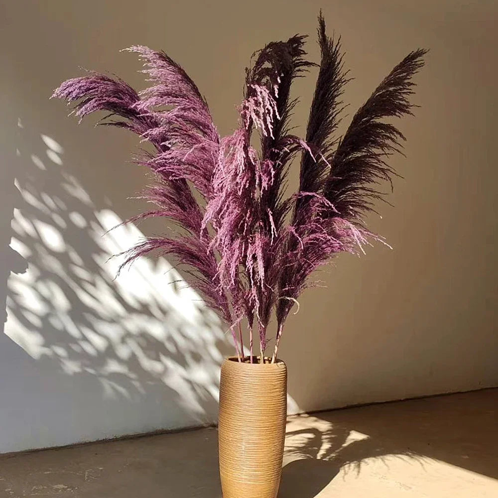 Large Natural Dried Pampas Grass Flowers Bouquet Home Decor