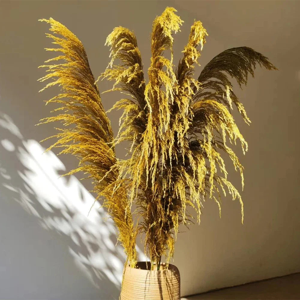 Large Natural Dried Pampas Grass Flowers Bouquet Home Decor