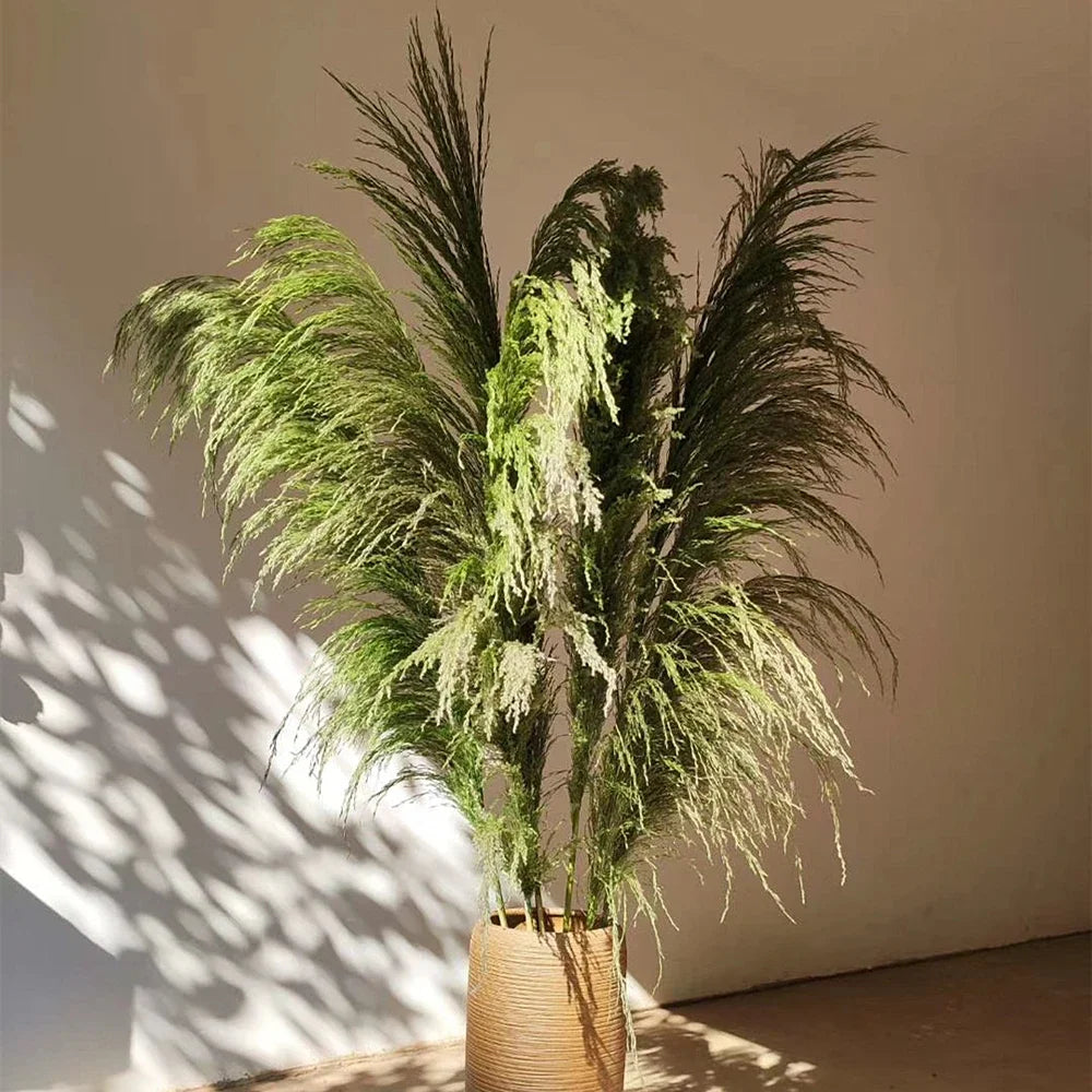 Large Natural Dried Pampas Grass Flowers Bouquet Home Decor