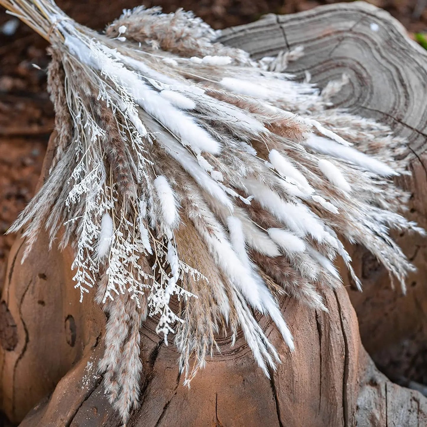 Pampas Grass Decor