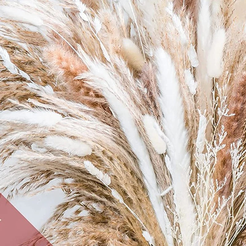 Pampas Grass Decor