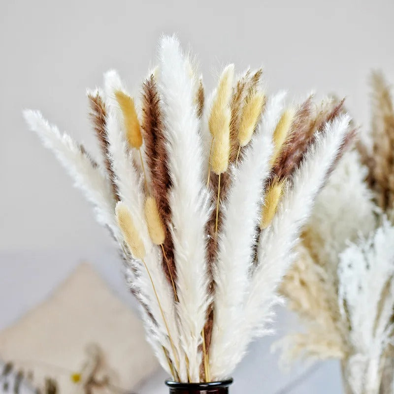 Pampas Grass Decor