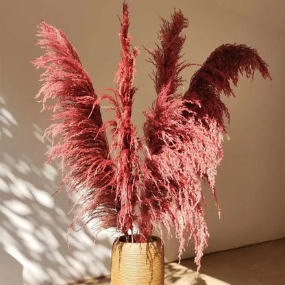 Large Natural Dried Pampas Grass Flowers Bouquet Home Decor