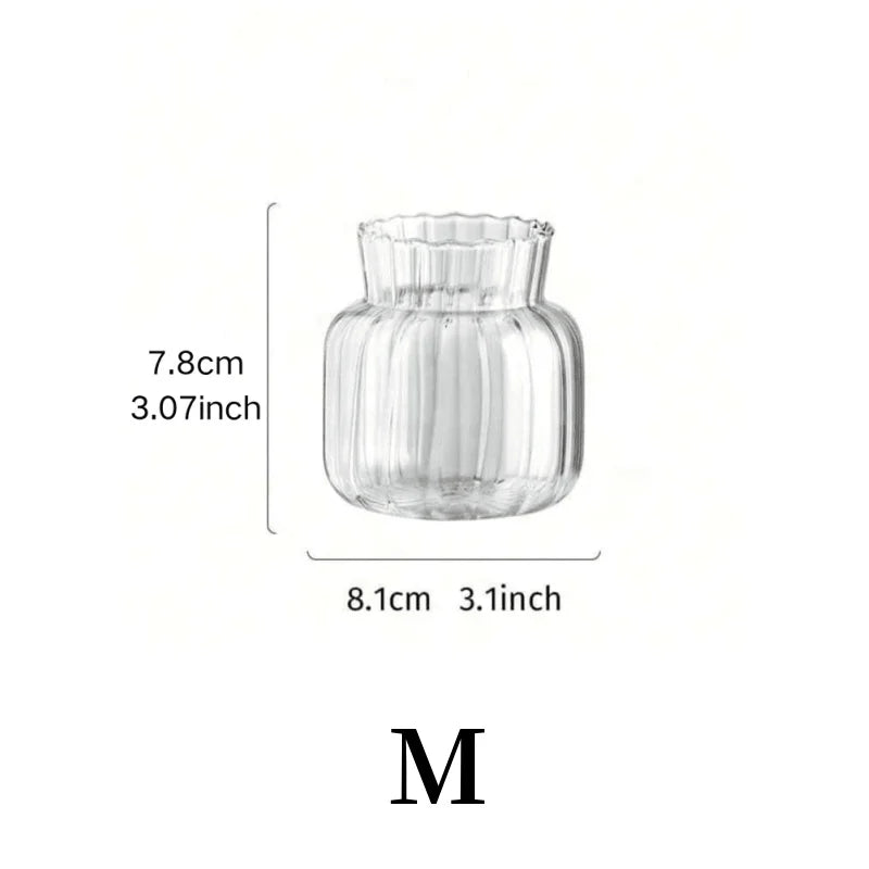 Hydroponic Glass Flower Arrangement Container Vase Table Decor
