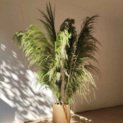 Large Natural Dried Pampas Grass Flowers Bouquet Home Decor